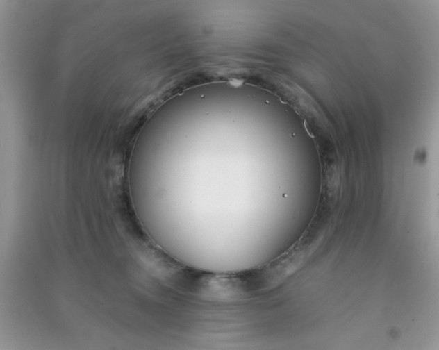 X0000090990372200708161922