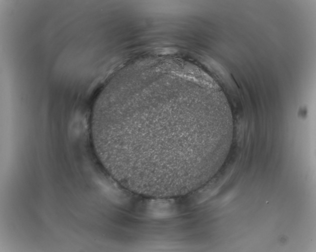 X0000090990373200708161922