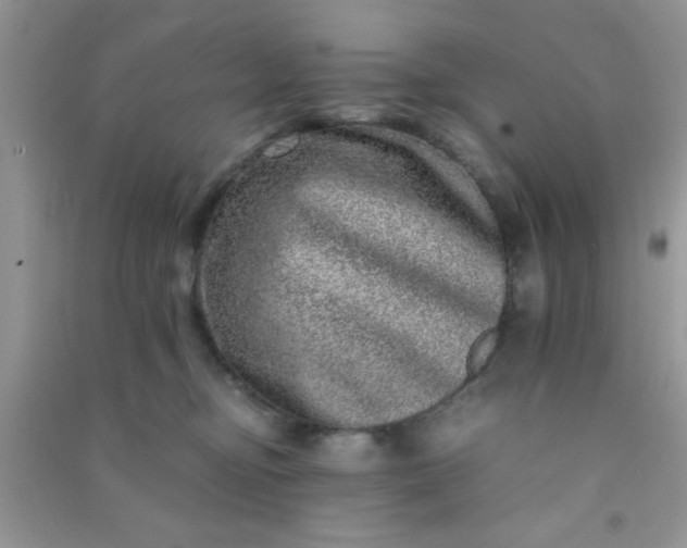 X0000090990374200708161922