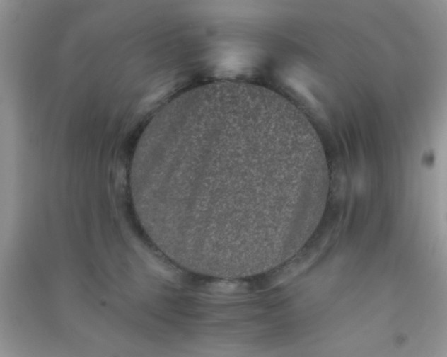 X0000090990375200708161922