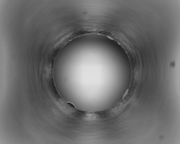 X0000090990376200708161922