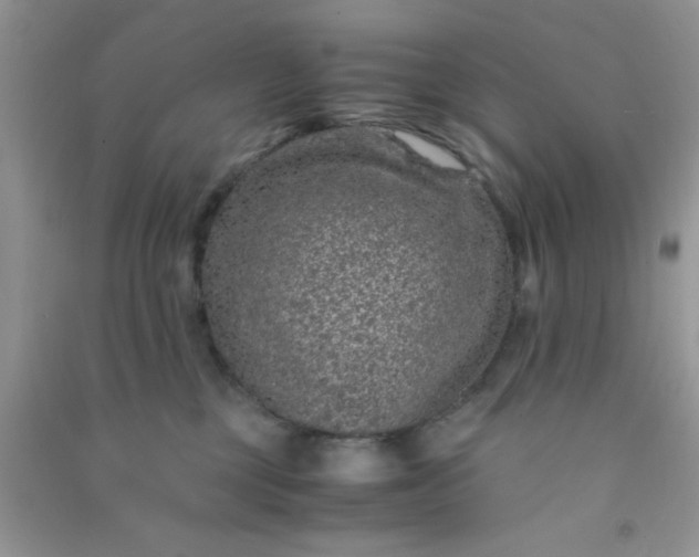 X0000090990377200708161922