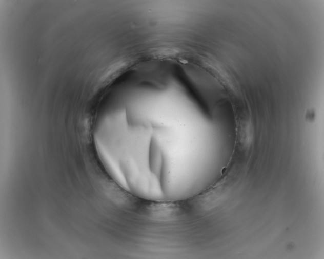 X0000090990378200708161922