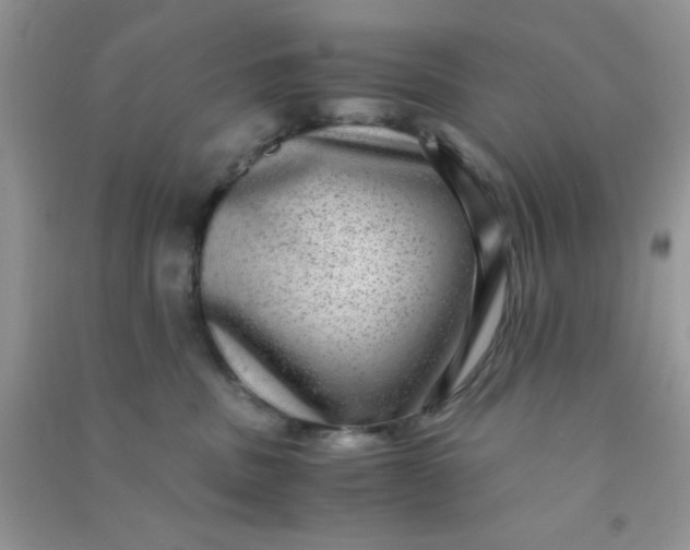 X0000090990379200708161922