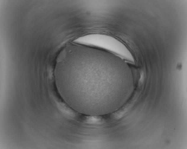 X0000090990380200708161922