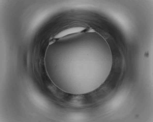 X0000090990382200708161922