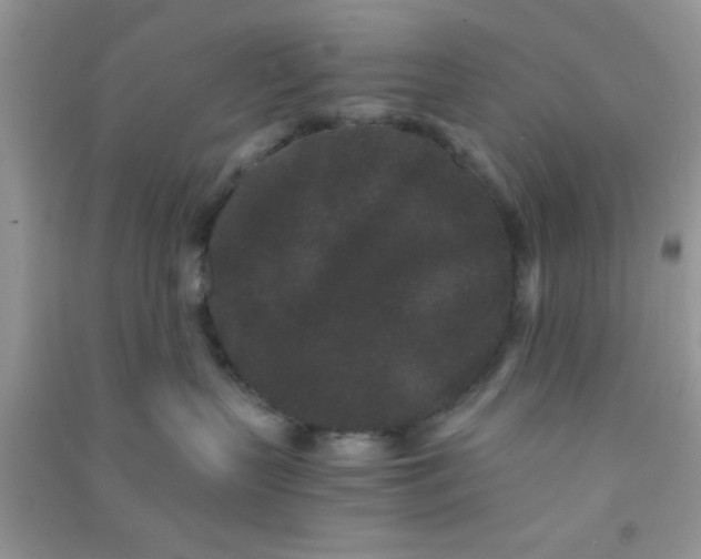 X0000090990383200708161922