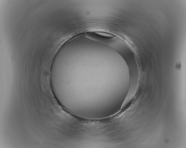 X0000090990385200708161921