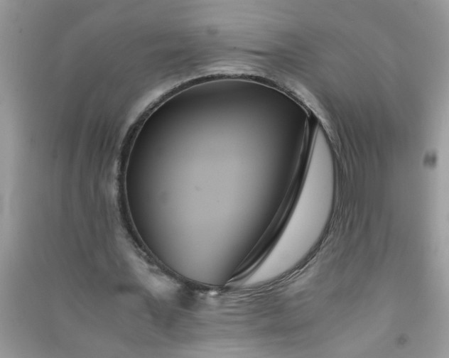 X0000090990387200708161921