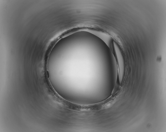 X0000090990388200708161921