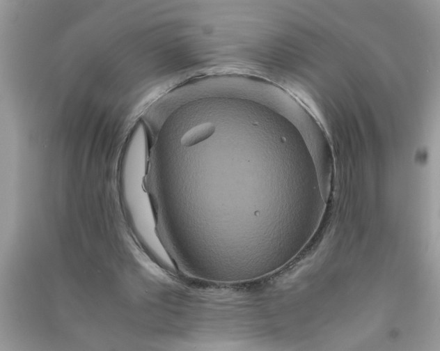 X0000090990389200708161921