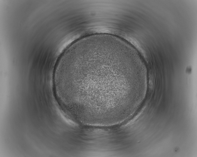 X0000090990390200708161921