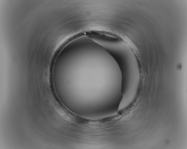 X0000090990391200708161921