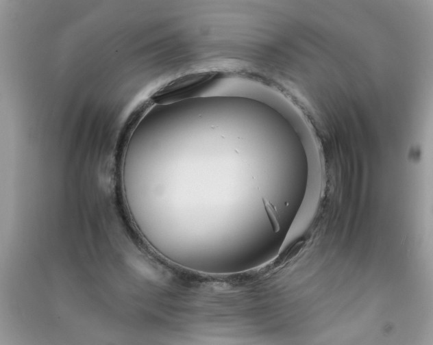 X0000090990392200708161921