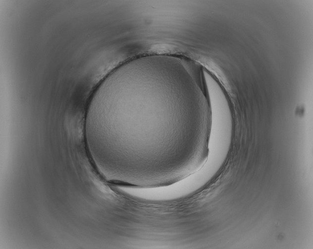 X0000090990393200708161921