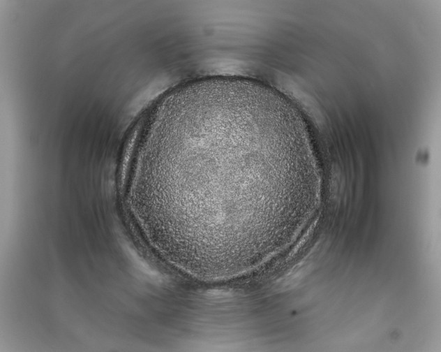 X0000090990394200708161921