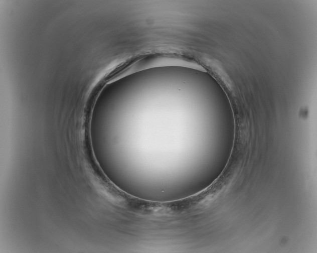 X0000090990395200708161921