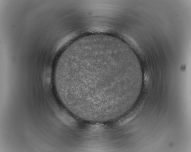 X0000090990396200708161921