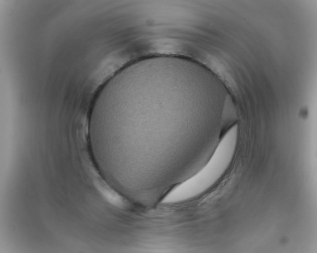 X0000090990397200708161921