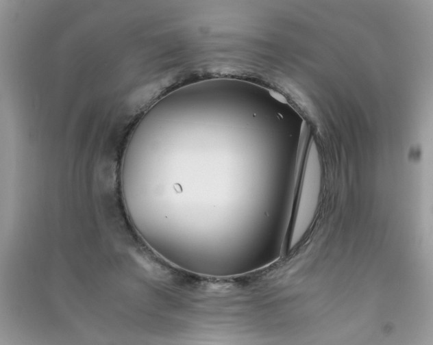 X0000090990401200708161921