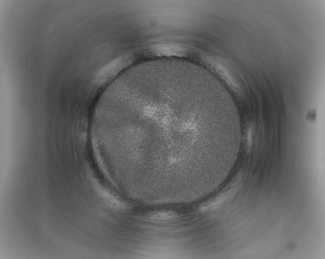 X0000090990402200708161921