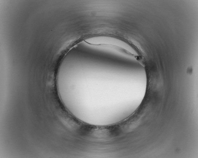 X0000090990403200708161921