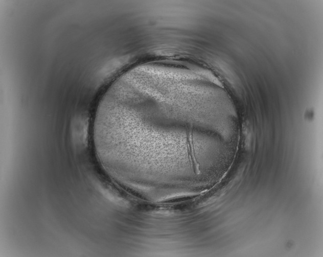 X0000090990404200708161921