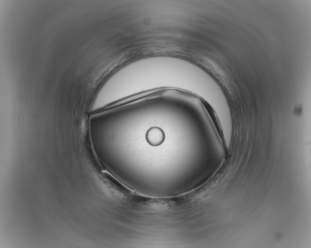 X0000090990405200708161921