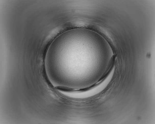 X0000090990407200708161921