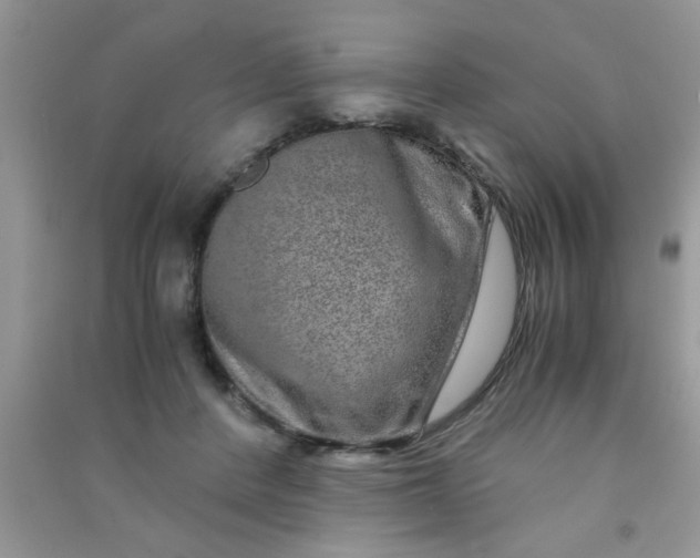 X0000090990408200708161921