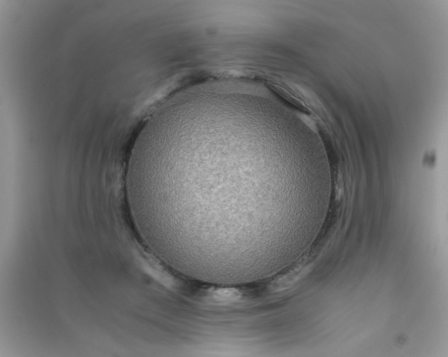 X0000090990409200708161921