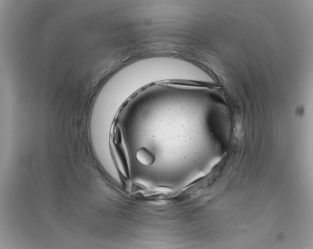 X0000090990411200708161921