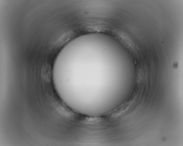 X0000090990414200708161921