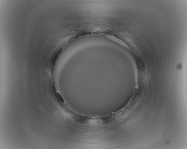 X0000090990415200708161921