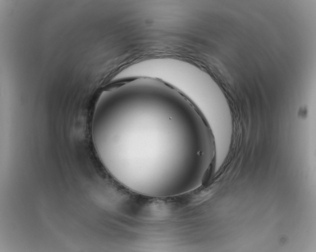 X0000090990416200708161921