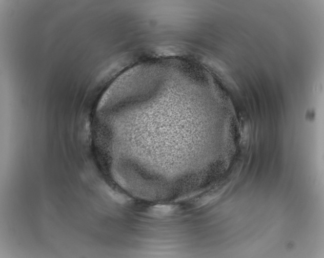 X0000090990418200708161921