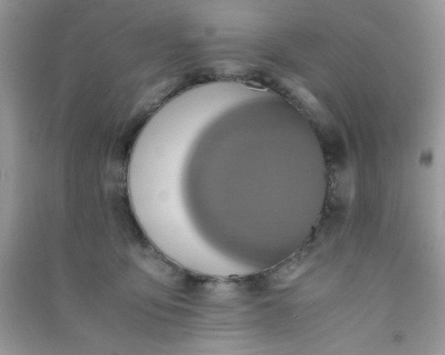 X0000090990419200708161921