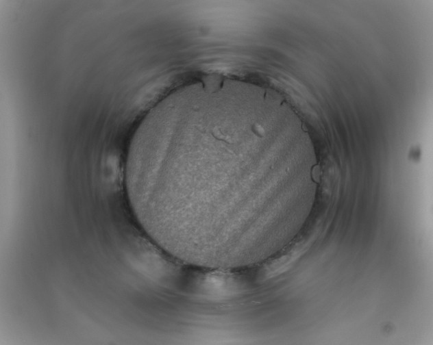 X0000090990420200708161921