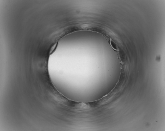 X0000090990421200708161921