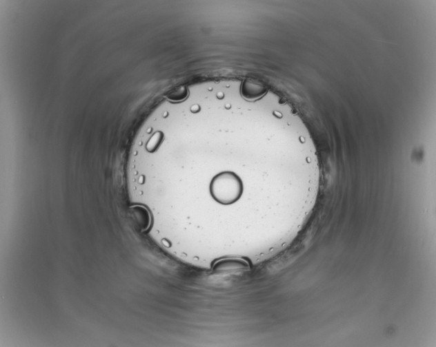 X0000090990423200708161921