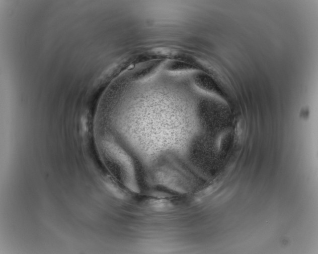 X0000090990424200708161921