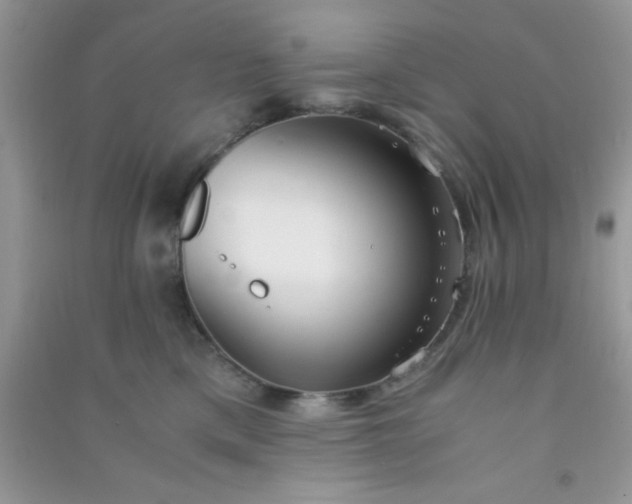 X0000090990425200708161921