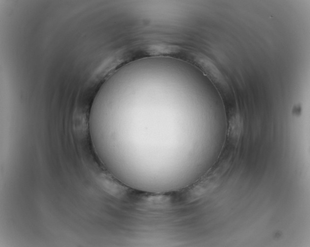 X0000090990426200708161921