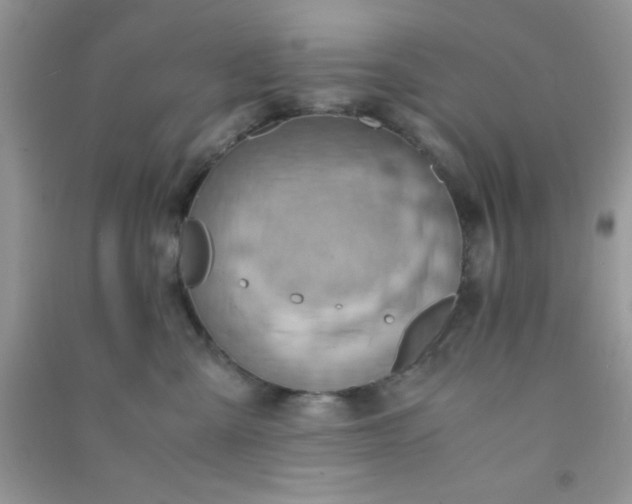 X0000090990427200708161921