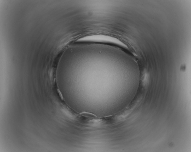 X0000090990428200708161921