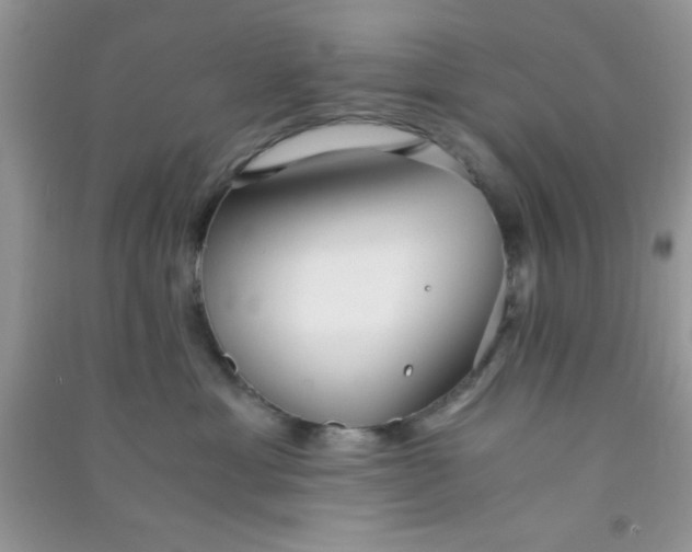 X0000090990429200708161921