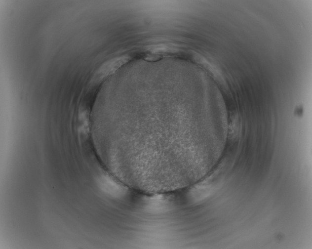 X0000090990430200708161921