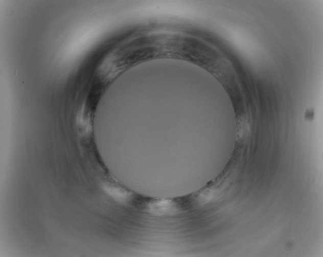 X0000090990431200708161921