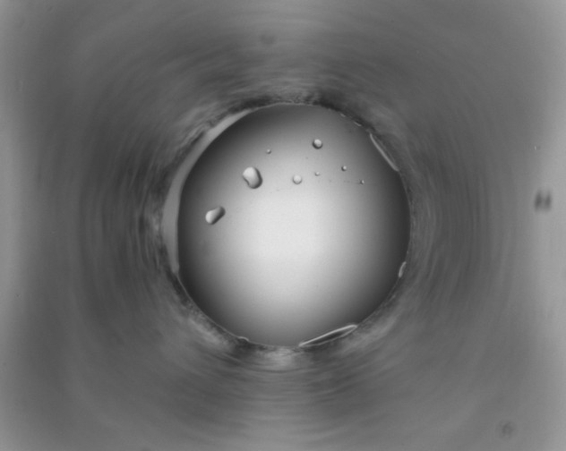 X0000090990432200708161921