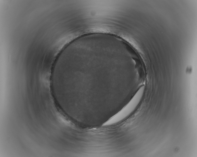 X0000090990434200708161920